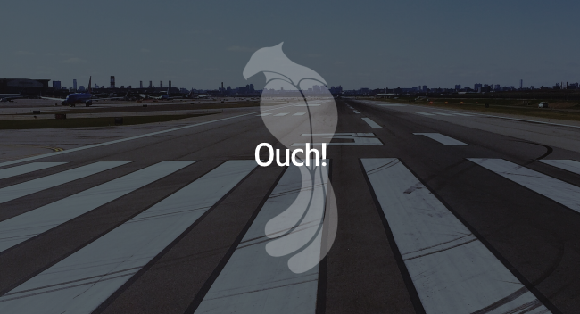 Ouch Performed a firm landing (within limits)